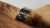 The Defender Rally car