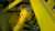 Hydraulic machinery