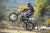 Dirt bike race