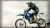 2-stroke engine oil