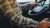 Manual transmission fluids