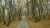 Engineered wood press 