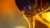 Non-reactive Lubricants