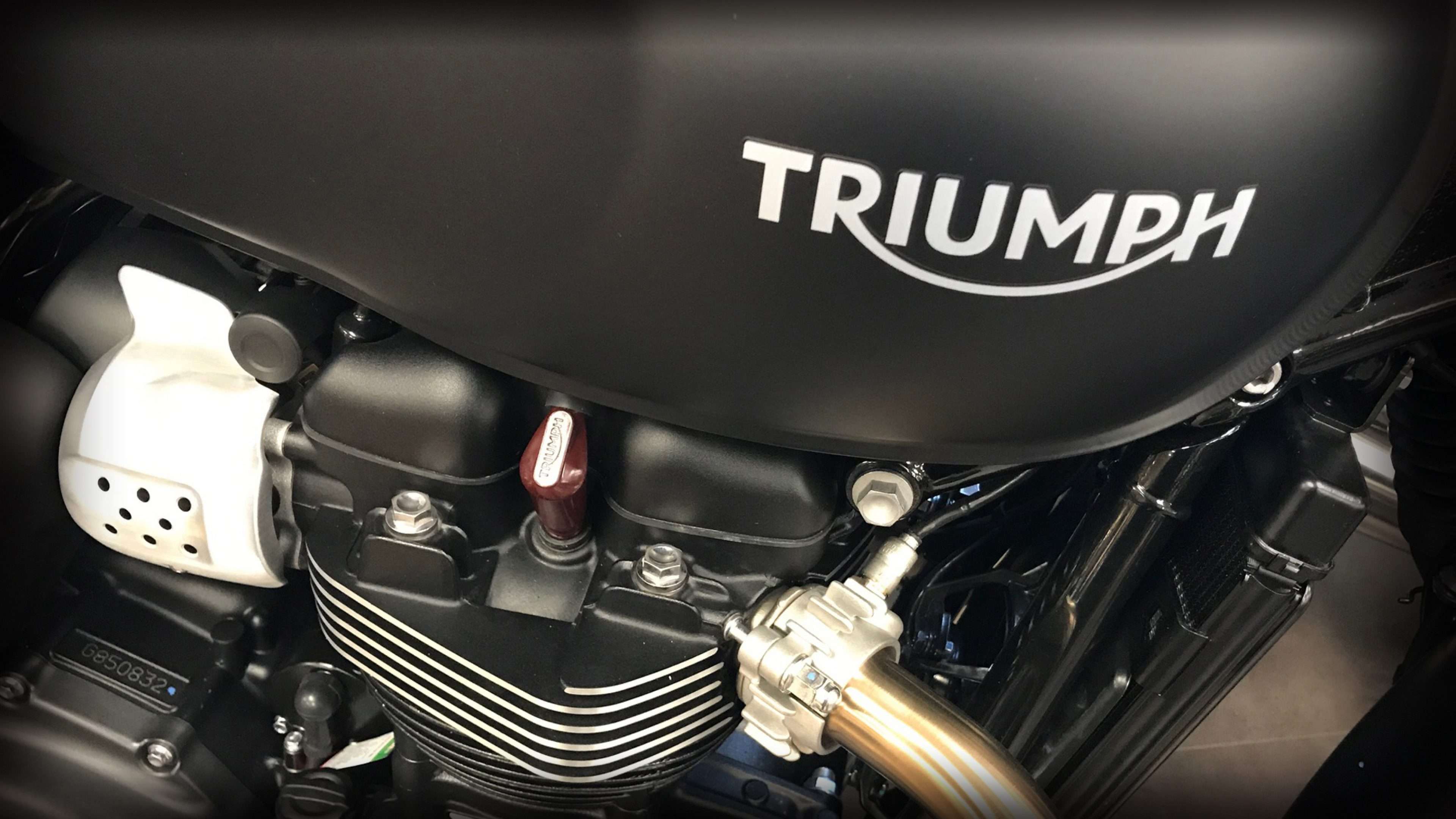 triumph america oil type